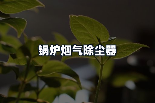 锅炉烟气除尘器